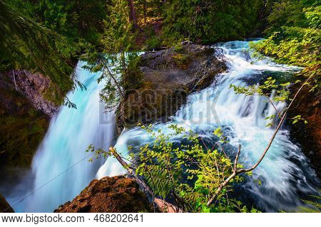 Sahalie Falls On Mckenzie River Located In The Willamette National Forest, Oregon, With Very Lush An