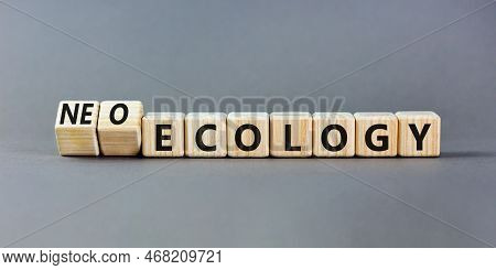 Neo-ecology Or Ecology Symbol. Concept Words Neo-ecology Or Ecology On Wooden Cubes. Beautiful Grey 