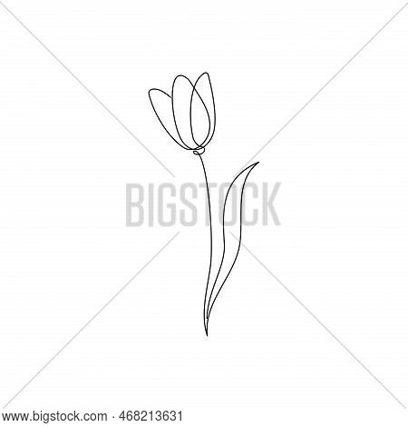 Line Tulip Flower Art Vector & Photo (Free Trial) | Bigstock