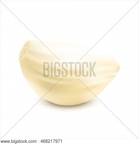 Organic Food,  Fresh Plant. Photo Realistic Garlic With Peeled Cloves. 3d Realistic Vector Illustrat