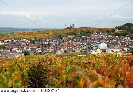 Autumn View On Colorful Grand Cru Champagne Vineyards Near Moulin De Verzenay, Pinot Noir Grape Plan