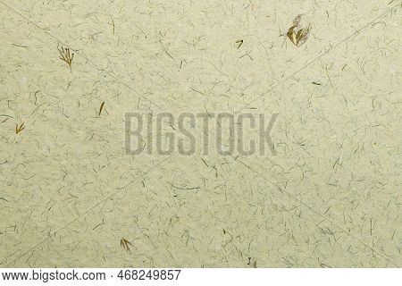 Green Kraft Paper Texture Background From Made Natural Leaves. Recycled Paper Texture Background Ban