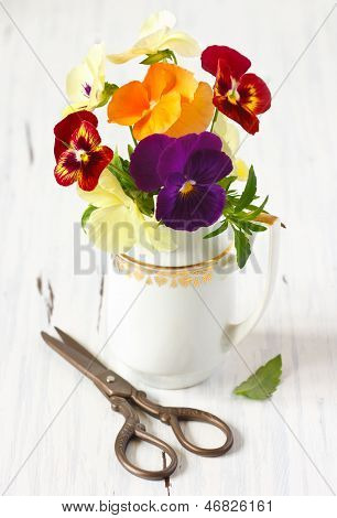 Bellissimi fiori viola del pensiero.
