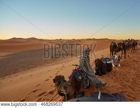 Sahara Desert, Morocco, 09 Th February, 2017: Morocco Moroccosand Dunes In The Sahara Desert. Morocc