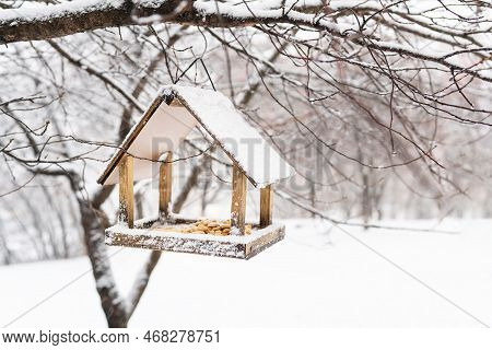 A Beautiful Small Garden With A Bird Feeder, Feeding In The Winter Time At The Bird Feeder. Snowy Wi