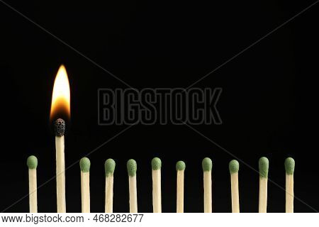 Burning Match Among Unlit Ones On Black Background, Closeup