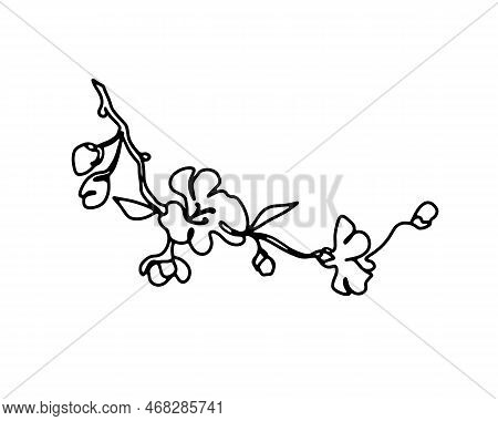 Cherry Branch With Flowers One Line Art Or Sprimg Blooming Apple Blossom Hand Drawn Black And White 