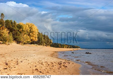 Eco-trail Komarovsky Bereg. Sunny Autumn Day On The Shore Of The Gulf Of Finland