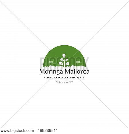 Moringa Garden Logo. Moringa Agriculture Logo Design.