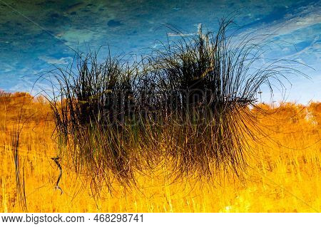 Detail Of Water Look Like Ukrainian Flag In Plitvice Lakes National Park During Colorful Autumn, Cro