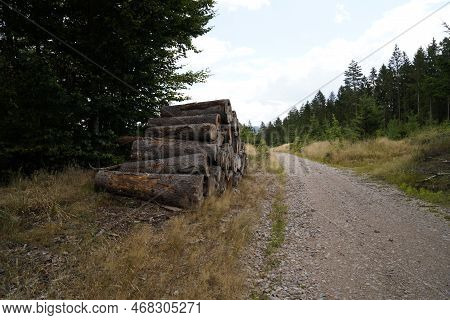 Forest Dieback Due To Climate Change, Drought And Storms And Deforestation As A Raw Material