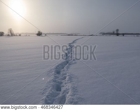 Landscape Of Fields Covered With White Snow And Footprints Of A Person In Far In Very Deep Snow Duri