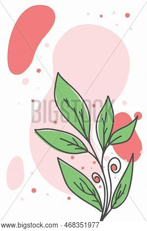 Template For A Postcard With A Nature Pattern. Background With A Plant