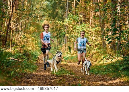 Svetly, Kaliningrad Oblast, Russia - October 2, 2021 - Canicross Exercises, Young Man And Adult Woma