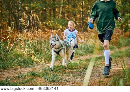 Svetly, Kaliningrad Oblast, Russia - October 2, 2021 - Canicross Exercises, Children Running With Si