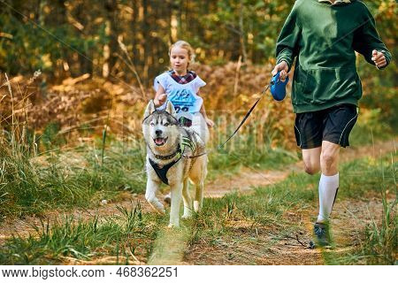 Svetly, Kaliningrad Oblast, Russia - October 2, 2021 - Canicross Exercises, Children Running With Si