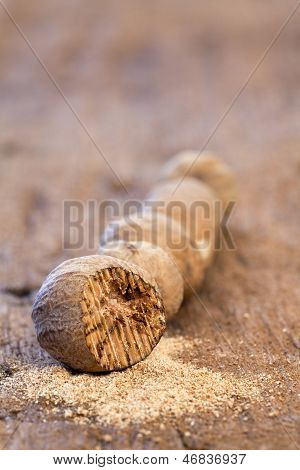 Nuez moscada en una fila