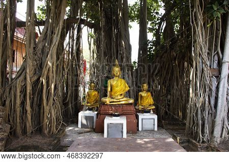 Ancient Antique Buddha Statue Under Tree Plant In Garden Park For Thai People Travelers Travel Visit