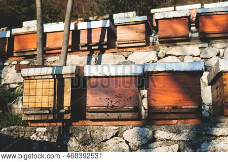 Summer View Of Rural Apiary And Honey Production In Balkan Peninsula Countries, Bee Hive Colony, Swa
