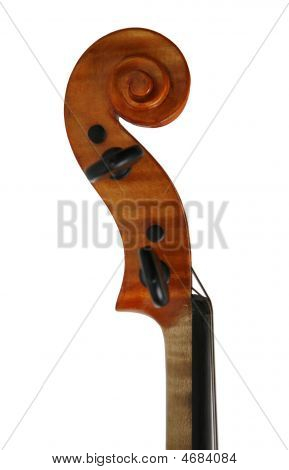 Testa di un violino