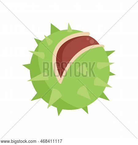 Sweet Chestnut Icon Flat Vector. Food Tree. Season Nut Isolated