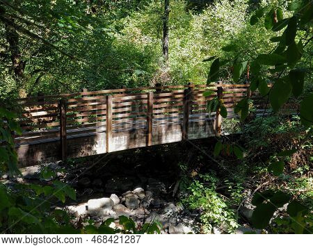 A Wooden Foot Bridge Crosses A Dry Creek Bed Through A Lush Green Forest On A Beautiful Summer Day.