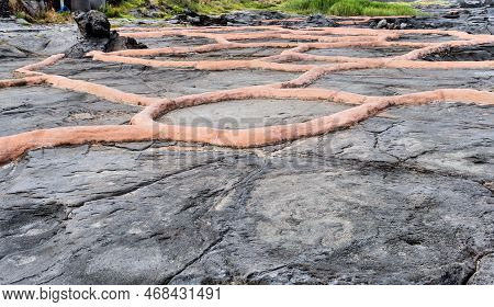 Closeup Of Volcanic Salt Flats On Jeju Island In South Korea.