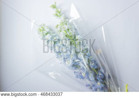 Bouquet Of Blue Delphinium Flowers Wrapped In Transparent Paper, Isolated On White Background. Larks