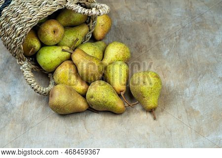 Pears In Basket On A Wooden Background. Fruit Harvest. Autumn Still Life. Pear Variety Bera Conferen