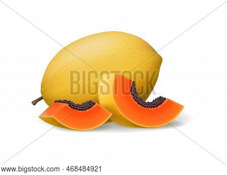 Papaya Slices. Juicy Raw Papayas Yellow Whole And Orange Slice Colour Vector Illustration, Tasty Cut