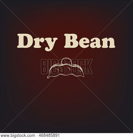 A Traditional Ingredient For Many Dishes - Dry Bean