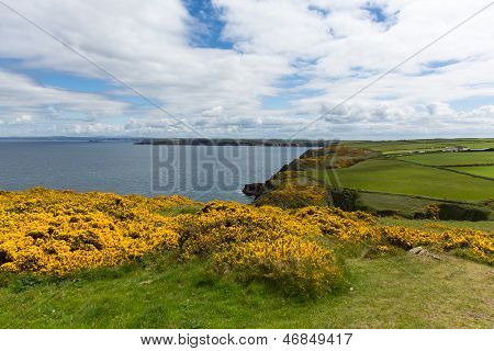 ชาวเวลส์โคสต์ดูฉากจาก Skomer Pembrokeshire Marloes และอ่าวเซนต์ Brides
