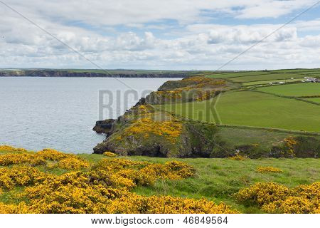 Skomer 아일랜드 웨일즈에서 Marloes 향해 Pembrokeshire 해안 장면