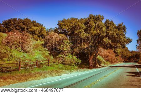 Ojai, United States - February 25 , 2013 : A Winding Road In Ojai, Green Trees Around In Tropical Oj