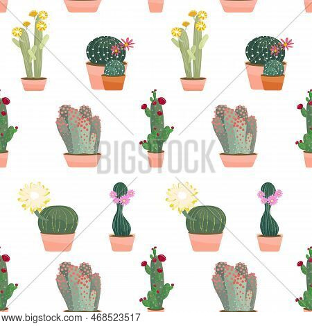 Flowering Cacti Seamless Pattern Vector Illustration On White