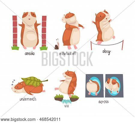 Cute Hamster Demonstrating English Language Prepositions Of Place Set. Back Off, Along, Underneath, 