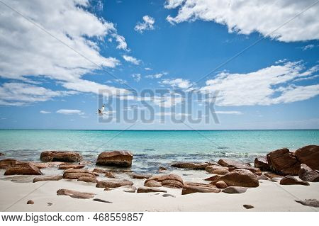 Seagull Flying Over The Ocean On A Beautiful Summer Day With Blue Skies And Cotton Clouds