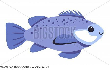 Dwarf Gouramis Fish Type, Aquatic Animals Vector