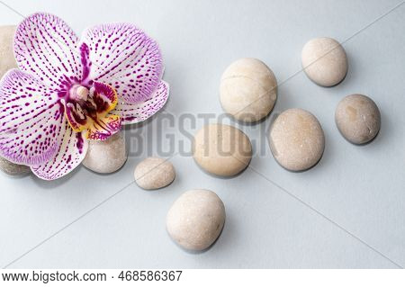 Spa Wellness Concept.pebbles Rocks In Pyramid Sea Salt And Orchid Flower