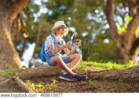 Kids Explore Nature. Children Hike In Sunny Summer Park. Scout Club And Science Outdoor Class. Boy A