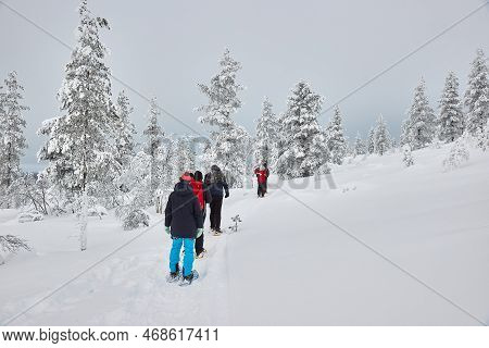 Saariselka, Finland - Circa 2022: Group Hiking In Snowshoes Over Snowy Winter Trails In Finnish Lapl