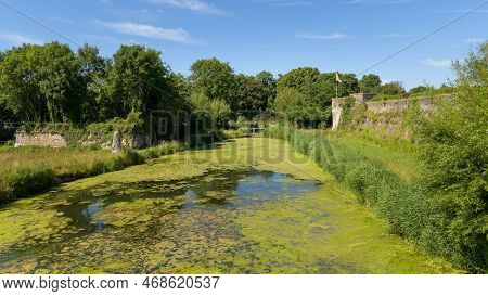 A Pond With Aquatic Plants And Trees Around It, Summer, Blue Sky, Bergues (france)