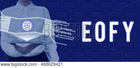 Handwriting Text Eofy. Business Overview A Mega Sale Held On An End Of A Financial Year
