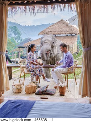 Couple Visiting A Elephant Sanctuary In Chiang Mai Thailand, Elephant Farm In The Mountains Jungle