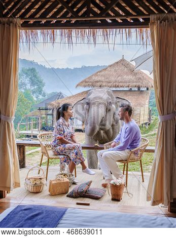 Couple Visiting A Elephant Sanctuary In Chiang Mai Thailand, Elephant Farm In The Mountains Jungle