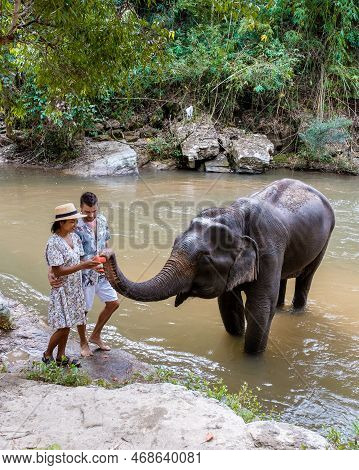 Couple Feeding A Elephant Sanctuary In Chiang Mai Thailand, Elephant Farm In The Mountains Jungle