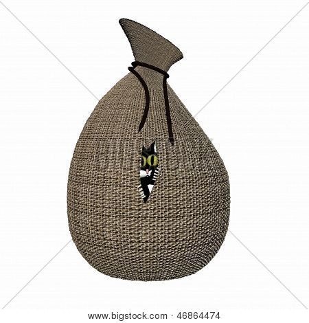 Die Katze im Sack