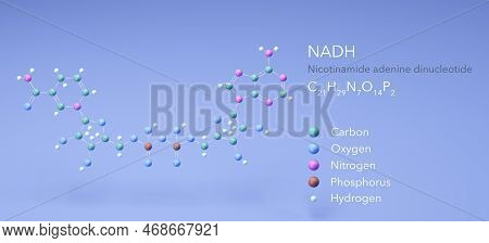 Molecule Nadh, Molecular Structures, 1,4-dihydronicotinamide Adenine Dinucleotide 3d Model, Structur