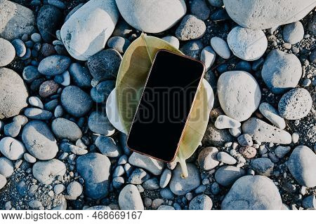 A Phone On A Leaf Of A Summer Tree, A Place For Your Website And Advertising. Summer Mokup On The Be