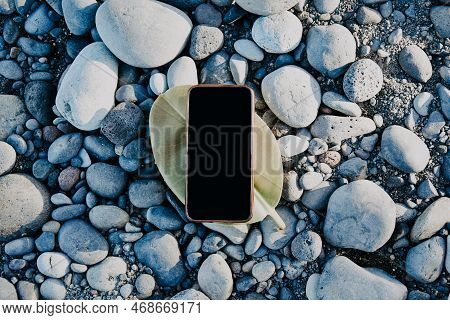 A Phone On A Leaf Of A Summer Tree, A Place For Your Website And Advertising. Summer Mokup On The Be